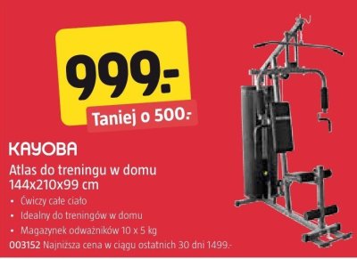 Atlas do treningu w domu Kayoba 144x210x99 cm promocja w Jula