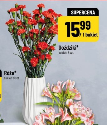 Róże promocja w POLOmarket