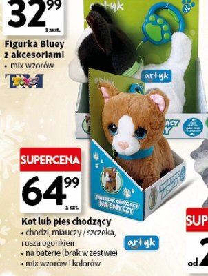 Kot lub pies chodzący promocja w Intermarche