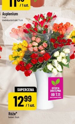 Kwiaty Róże promocja w POLOmarket