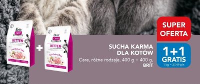 Sucha karma dla kotów Care Kitten promocja w Aquael zoo