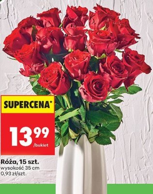 Róża bukiet 15 szt. promocja w Biedronka