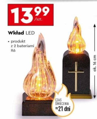 Wkład LED Cortina promocja w Biedronka
