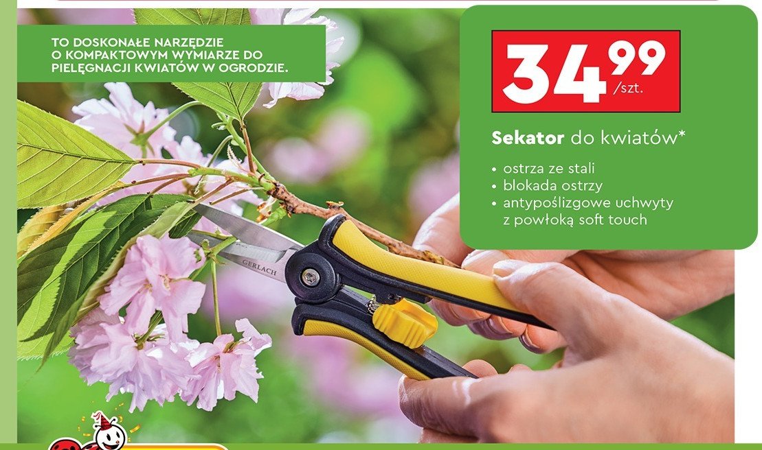 Sekator do kwiatów Gerlach promocja w Biedronka