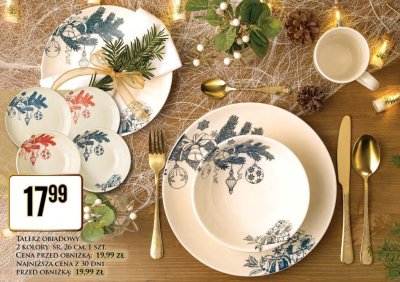 Talerz obiadowy 2 kolory śr. 26 cm promocja w Dino