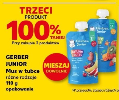 Mus w kubce Gerber Junior różne rodzaje 110 g opakowanie promocja w Kaufland