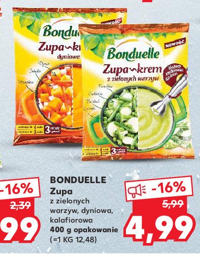 Zupa-krem z zielonych warzyw Bonduelle promocje