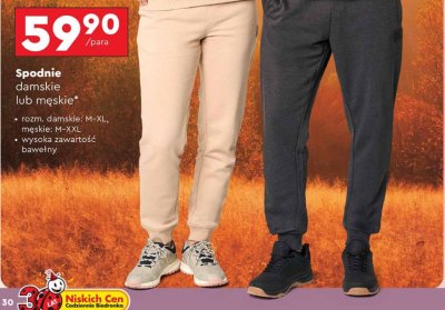 Spodnie dresowe damskie Up2fashion promocja w Biedronka