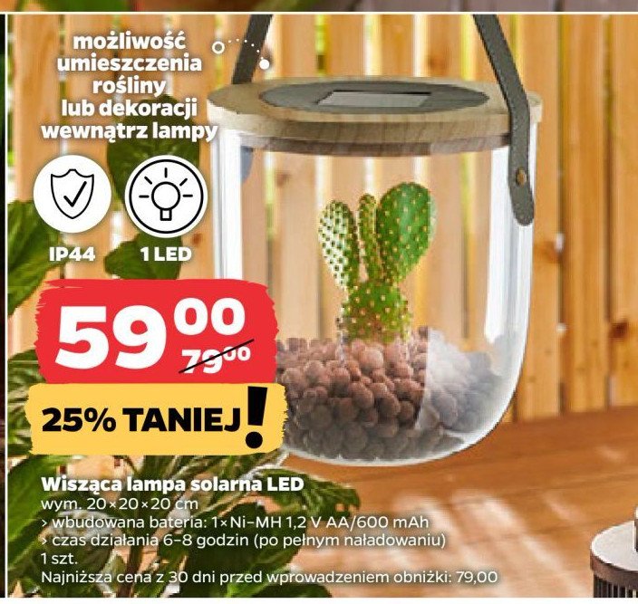 Lampa wisząca solarna led promocja w Netto