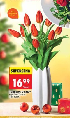 Tulipany, 9 szt., wysokość 35 cm promocja w Biedronka