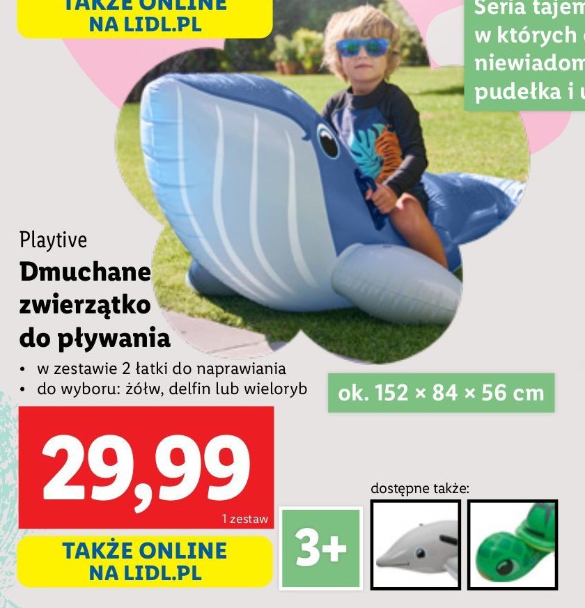Wieloryb do pływania Playtive promocja w Lidl