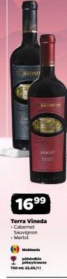 Wino Terra Vineda Cabernet Sauvignon półsłodkie półwytrawne czerwone promocja w Netto