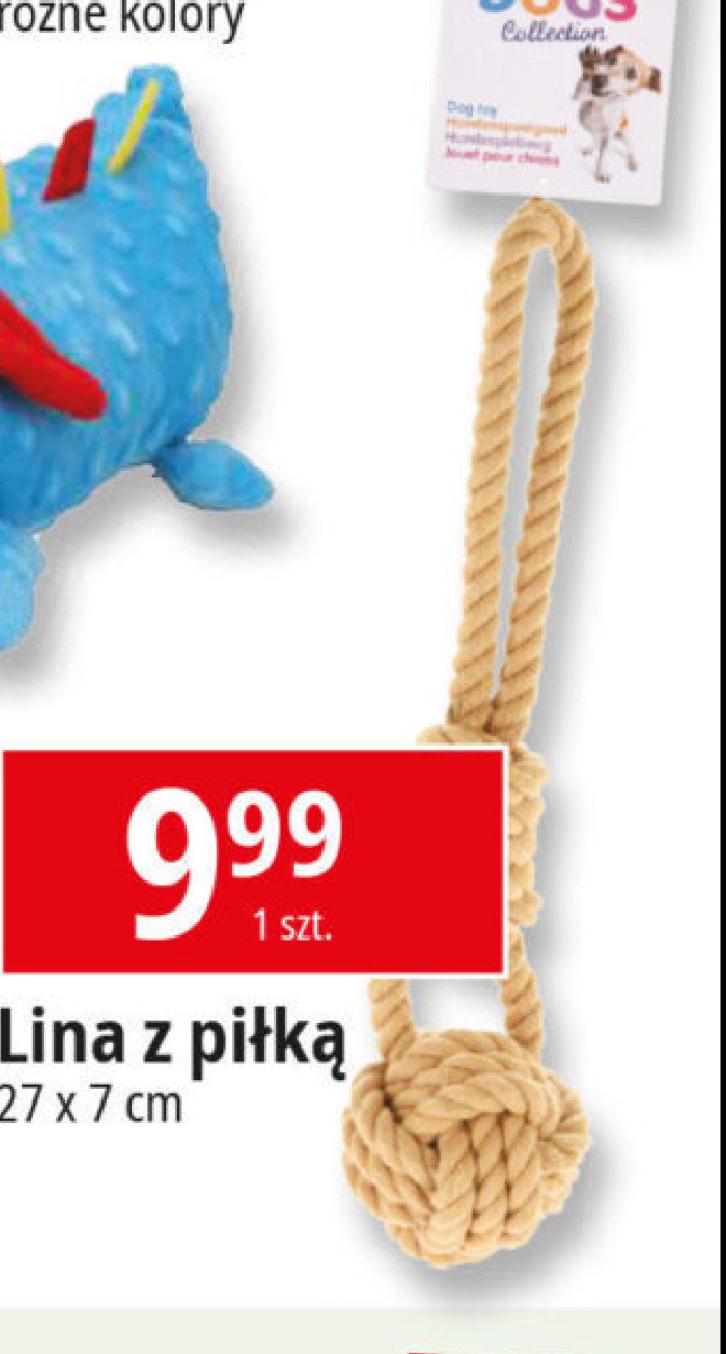 Lina z piłką promocja