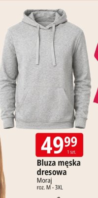 Bluza męska promocja w Leclerc