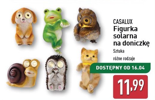 Figurka solarna na doniczkę Casalux promocja w Aldi