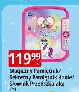 Magiczny Pamiętnik/Sekretny Pamiętnik Konie/Słownik Przedszkolaka promocja w Leclerc