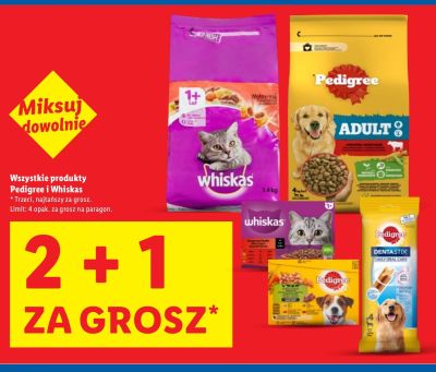 Karma dla kotów 1,4 kg promocja w Lidl