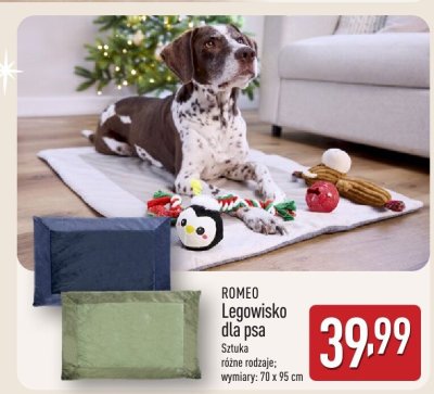Legowisko dla psa Romeo promocja w Aldi