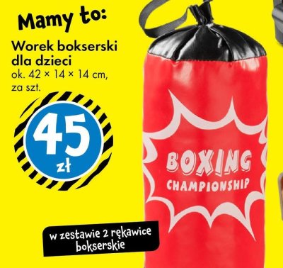Worek bokserski dla dzieci w zestawie 2 rękawice bokserskie promocja w Tedi