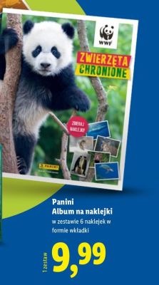 Album na naklejki promocja w Lidl