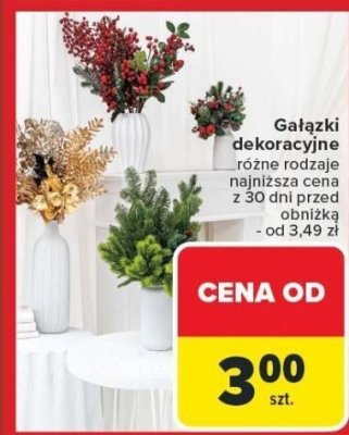 Gałązki dekoracyjne różne rodzaje Carrefour promocja w Carrefour