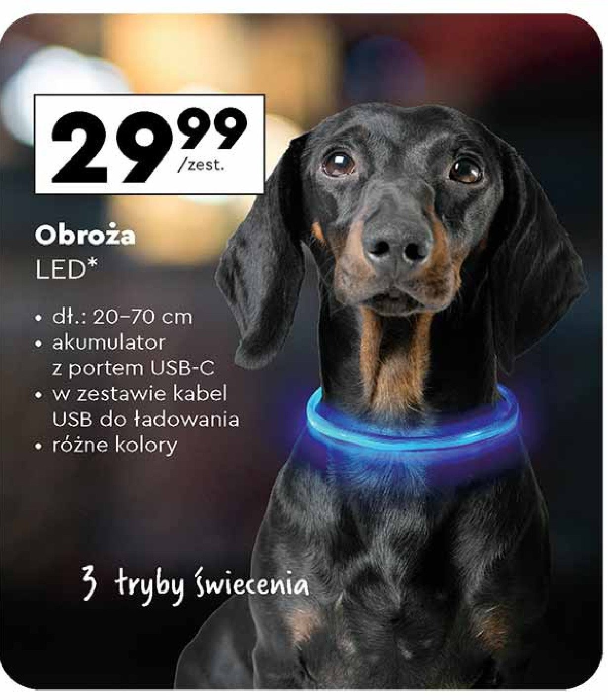 Obroża led promocja