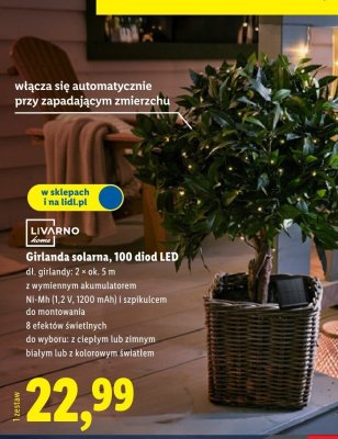 Girlanda solarna 100 diod LED promocja w Lidl