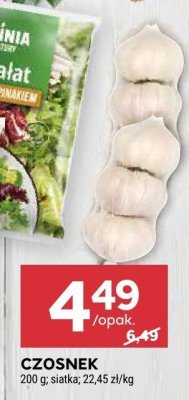 Czosnek promocja w Stokrotka