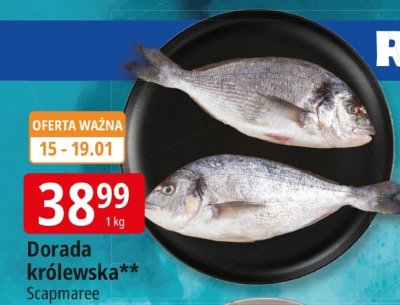 Dorada królewska  promocja w Leclerc