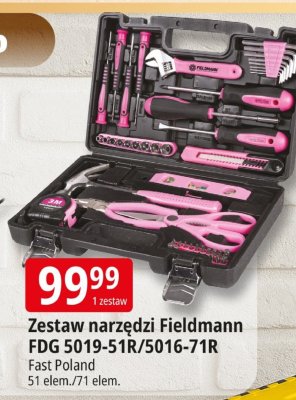 Zestaw narzędzi Fieldmann FDG 5019-51R/5016-71R Fast Poland 51 elem./71 elem. promocja w Leclerc