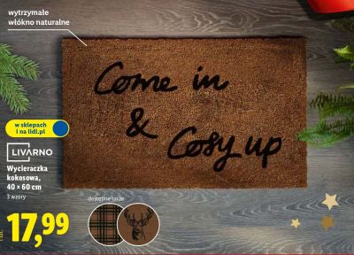 Wycieraczka kokosowa 40 x 60 cm promocja w Lidl