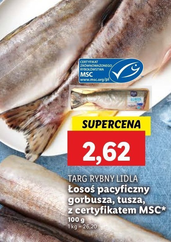 Łosoś pacyficzny tusza Rybny targ lidla promocja w Lidl