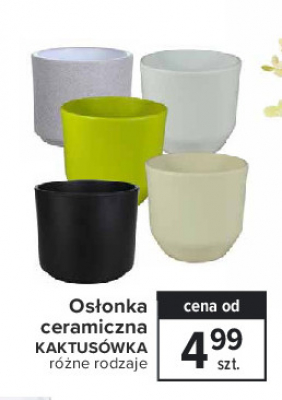 Doniczka ceramiczna kaktusówka Cermax promocja