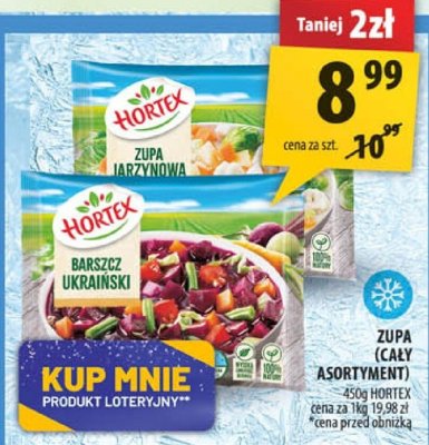 Zupa Hortex mrożona promocja w Arhelan