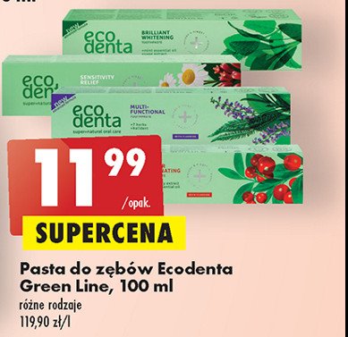 Pasta do z臋b贸w ekstraktem z rumianku ekstraktami z go藕dzika i kalidentem Ecodenta promocja