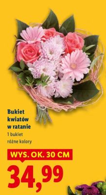 Bukiet kwiatów w ratanie 30 cm promocja w Lidl