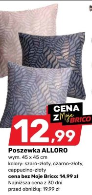 Poszewka ALLORO różne kolory promocja w Bricomarche