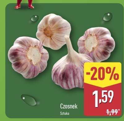 Czosnek promocja w Aldi