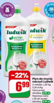Płyn do mycia naczyń Ludwik Miętowy promocja w Dino