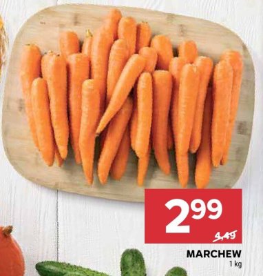 Marchewka młoda promocja w Stokrotka