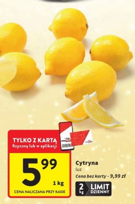 Cytryna luz promocja w Intermarche