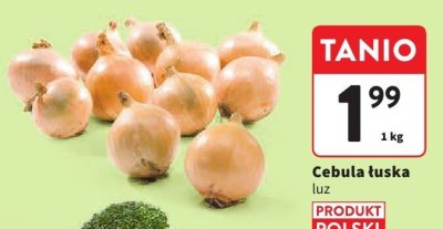 Cebula luska promocja w Intermarche