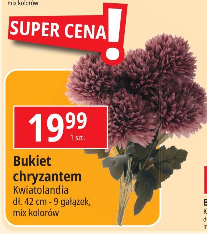 Chryzantemy 42 cm Kwiatolandia promocja