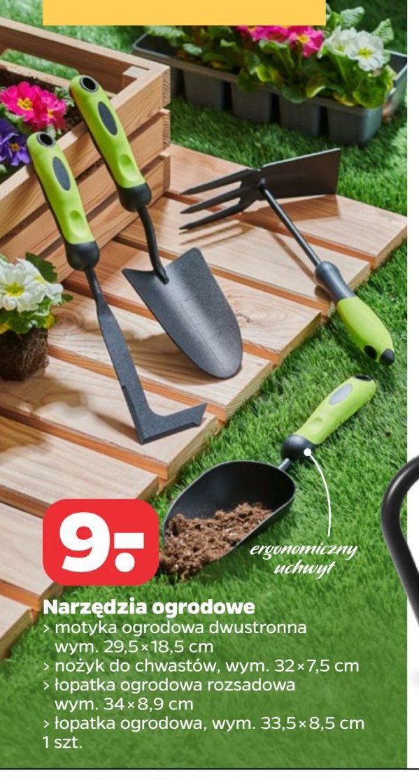 Nożyk do chwastów promocja w Netto