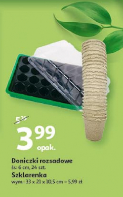 Doniczki do rozsady okrągłe 6 cm promocja
