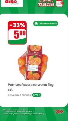 Pomarańcza czerwona promocja w Dino