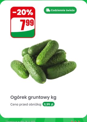 Ogórek gruntowy kg promocja w Dino