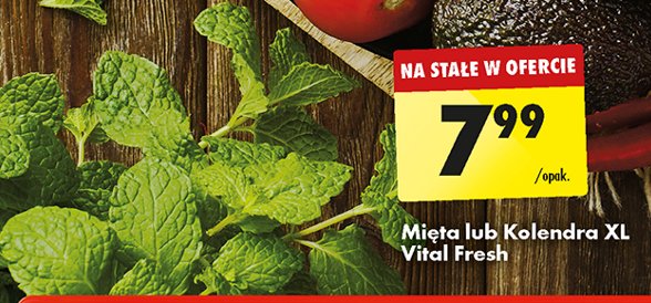 Mięta xl Vital fresh promocja