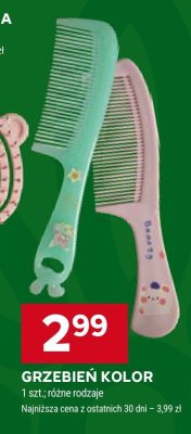 Grzebień kolor promocja w Stokrotka