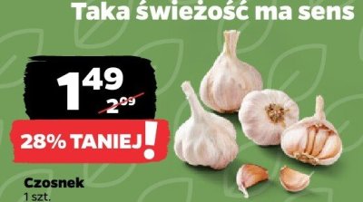 Czosnek 1 szt. promocja w Netto